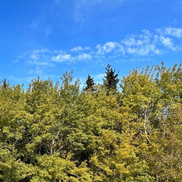 Meet your Posher, Chelsea - Picture 1 of 1